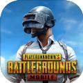 pubg mobile(国际服)官方正版免费安卓版 