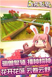迷你世界国际服中文版截图0