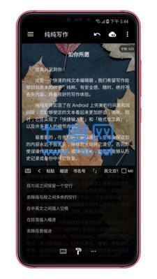 纯纯写作