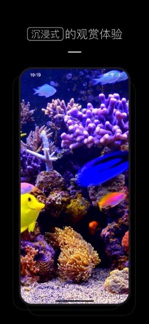 少女心壁纸 v1.1