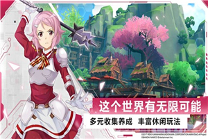 刀剑神域黑衣剑士王牌国服截图2