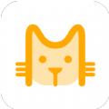 猫猫盒子