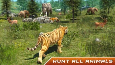 野生老虎模拟器 版本：v1.6