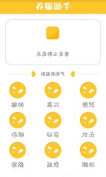 猫咪小助手截图1