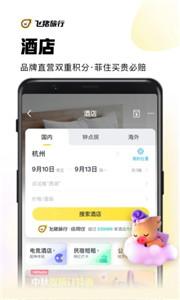 飞猪特价票