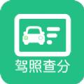 驾驶证分数查询