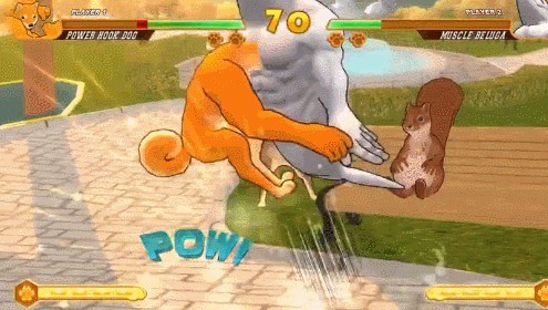 柴犬格斗 2024-06-25 15:08