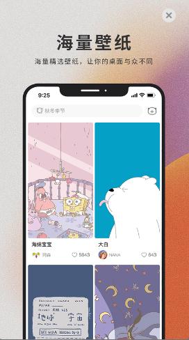  萌猫壁纸.jpg