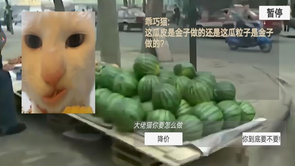 猫猫惊魂夜截图1