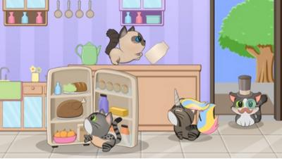 猫咪的生活