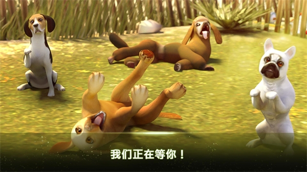 我的寄宿狗屋游戏(DogHotel) v2.1.10