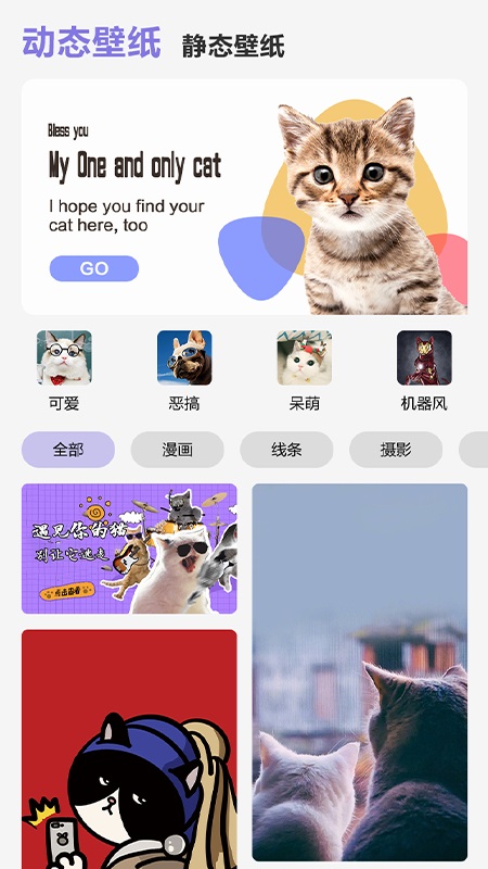 可爱喵喵壁纸大全.jpg