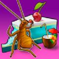 昆虫快跑3d游戏安卓版（Insect Run 3D） 
