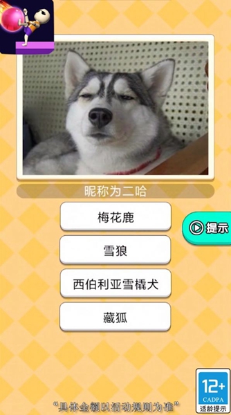 魔音球球截图2
