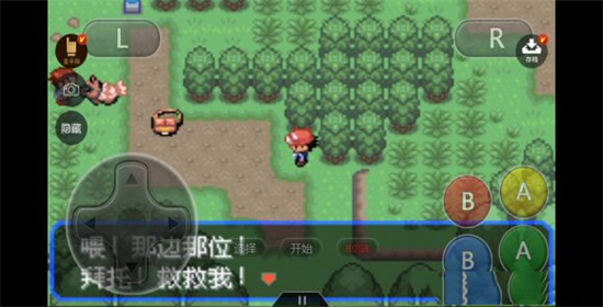 口袋妖怪究极绿宝石5.5内置菜单截图2