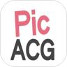 PicACG