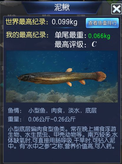 钓鱼大咖王者之战