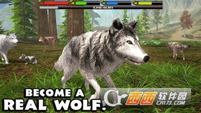 野狼模拟3D游戏 v2.1 安卓版