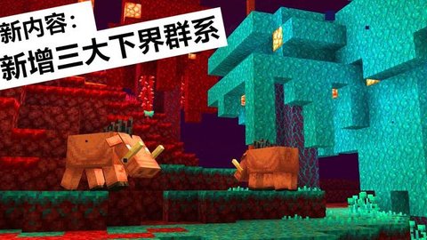 我的世界1.16基岩版
