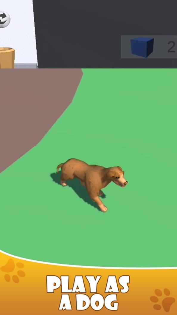 ggdlmnq.jpg