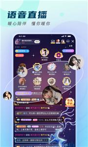 比熊交友