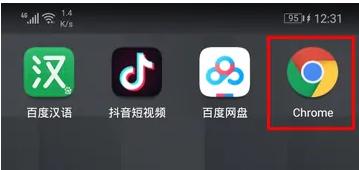 Chrome浏览器中国版