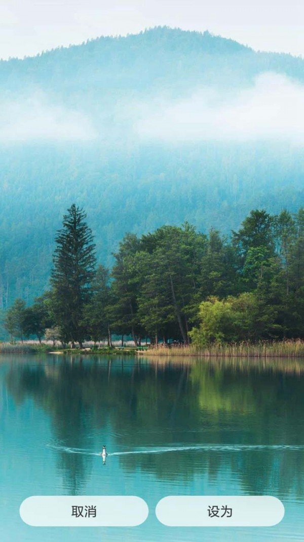 创意壁纸 版本：v1.1