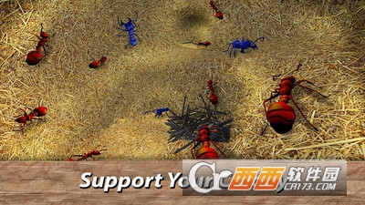 蚂蚁生存模拟器 v1.01 安卓版