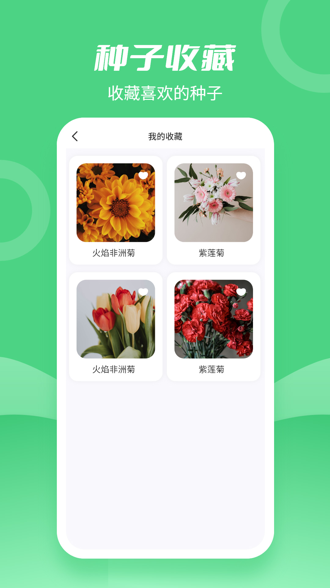 动听种子搜索APP官方下载图片1