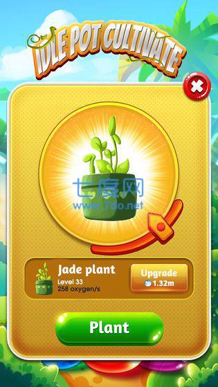 盆栽培植放置