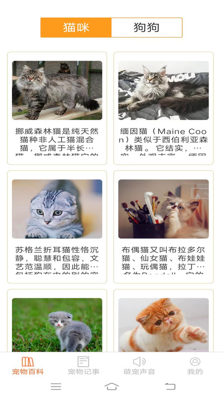 宠物多多截图1