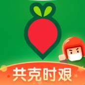 叮咚买菜ios版