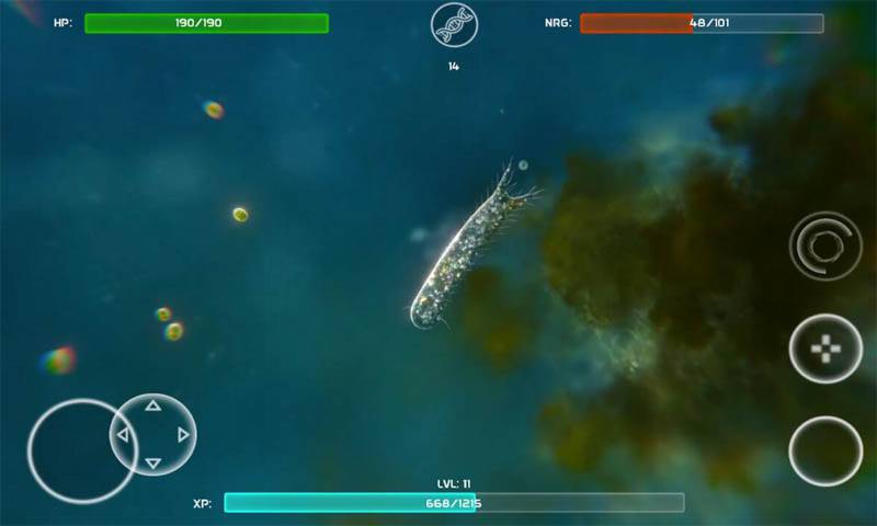 孢子的起源手谈汉化中文中文版  v3.3.4