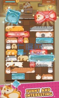 猫猫安全滑动拼图游戏