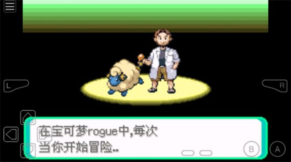 精灵宝可梦rogue