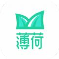 薄荷下载