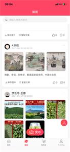 顶瓜瓜好播