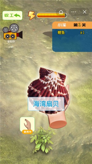 赶海抽水坑 2021-09-17 11:30