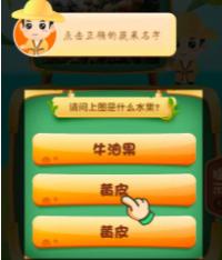 轻松猜水果