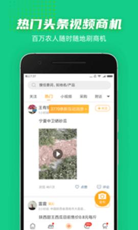 豆牛