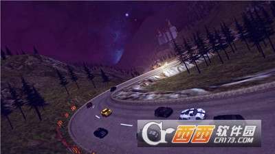 极速赛车手游戏 v1.3 安卓版