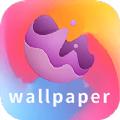 wallpaper壁纸大全