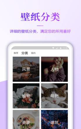 番茄壁纸.png