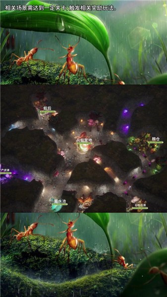 小小蚁世界  v1.31.1