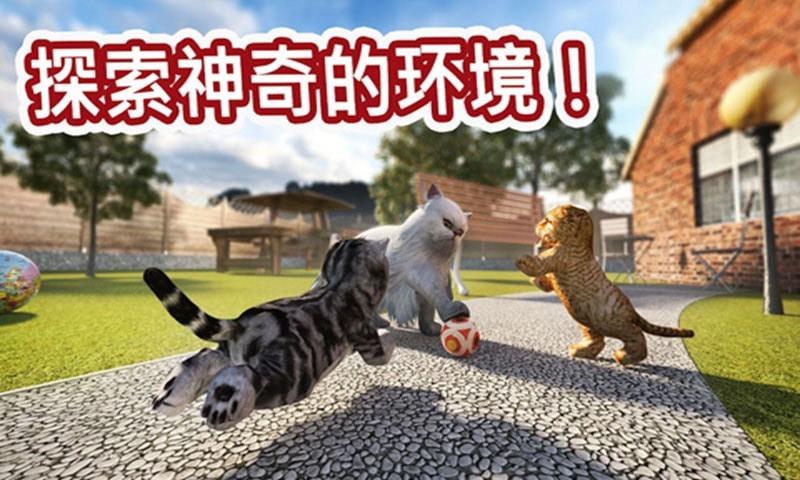 迷你小猫城市生存手机游戏安卓版图片1