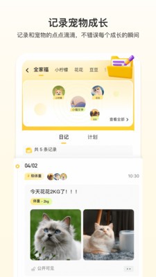 附近有喵  v1.1.1