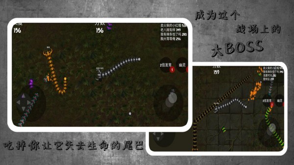 蛇蛇进化作战截图1