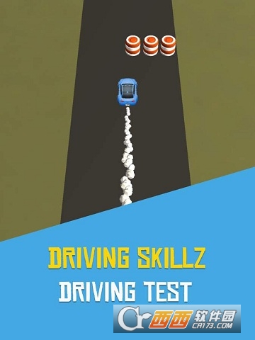 Driving Skillz(驾驶技巧)