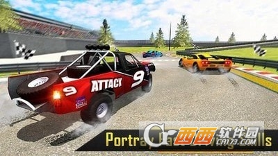 拉力赛车驾驶 v1.1 安卓版