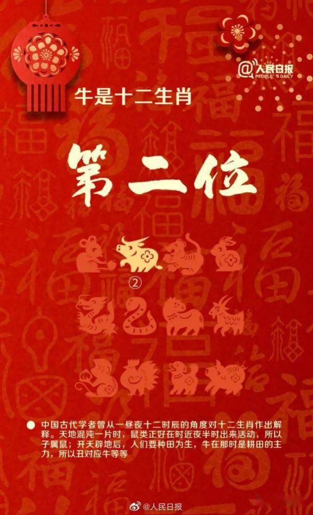 牛年只有354天图片表情包截图3